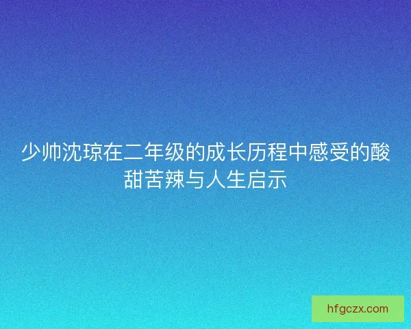 少帅沈琼在二年级的成长历程中感受的酸甜苦辣与人生启示