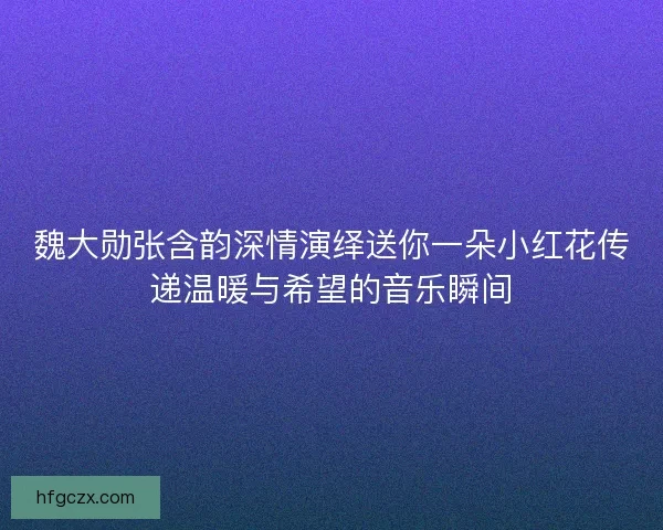 魏大勋张含韵深情演绎送你一朵小红花传递温暖与希望的音乐瞬间